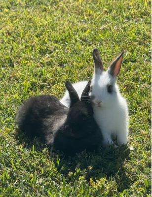 02